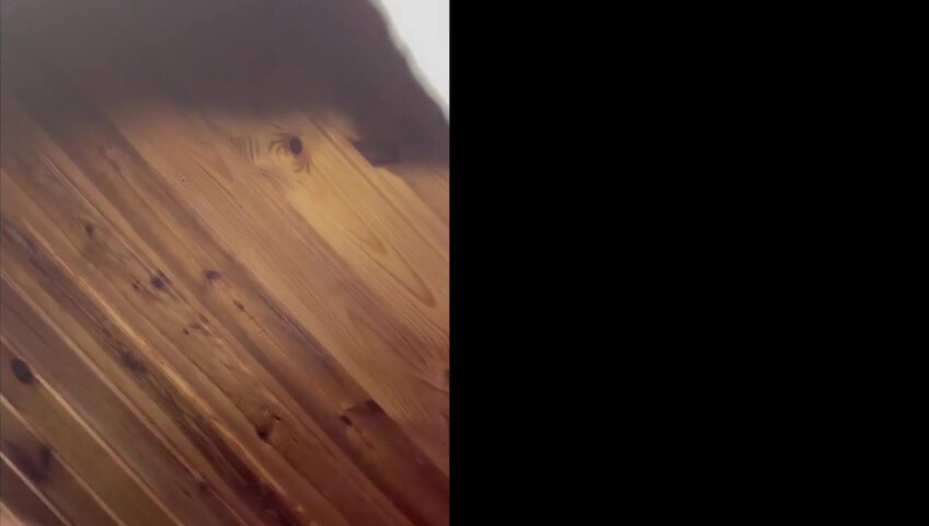 Alexa Flexy BBC Sextape