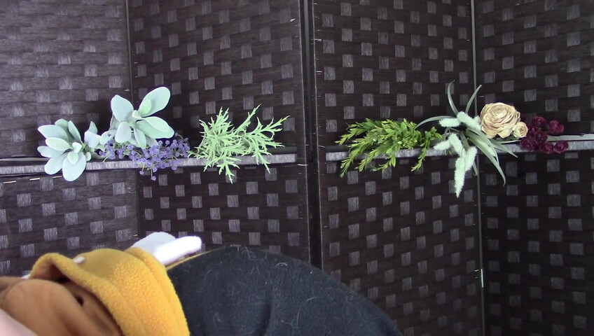 Amy Kay ASMR - Sleepy forest girl sucks your dick