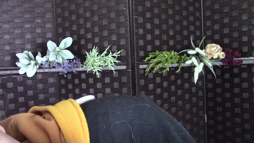 Amy Kay ASMR - Sleepy forest girl sucks your dick