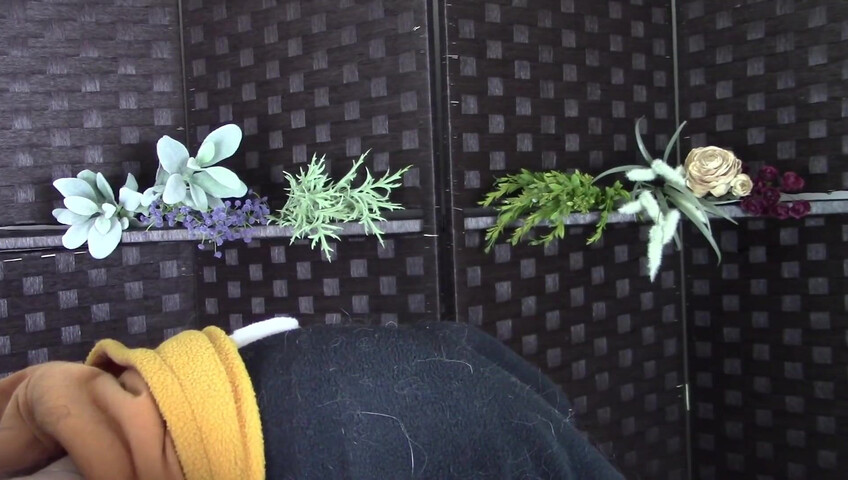 Amy Kay ASMR - Sleepy forest girl sucks your dick