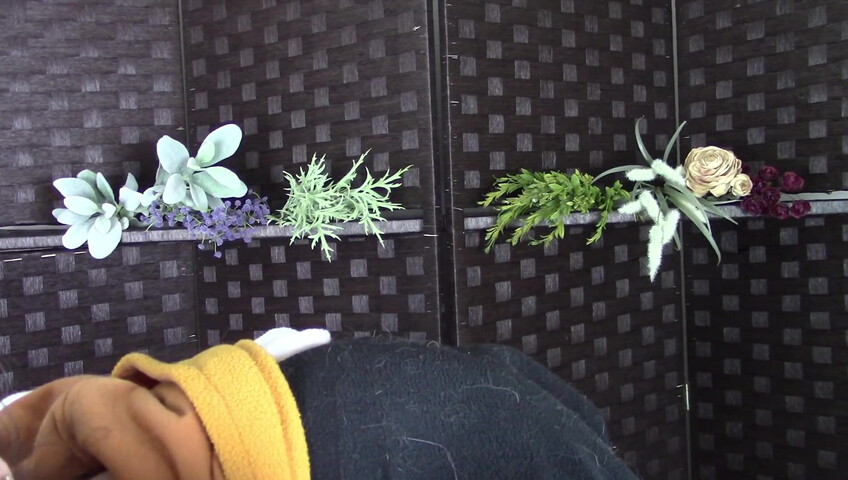 Amy Kay ASMR - Sleepy forest girl sucks your dick