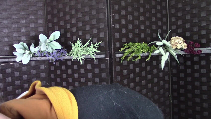 Amy Kay ASMR - Sleepy forest girl sucks your dick