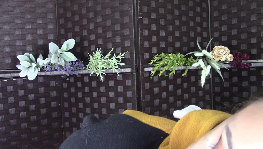 Amy Kay ASMR - Sleepy forest girl sucks your dick