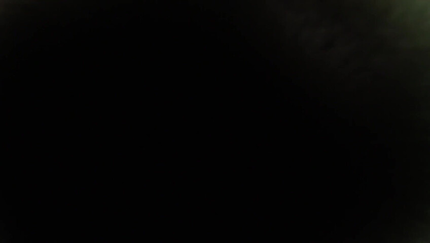 Angelique ASMR - Kitty ASMR