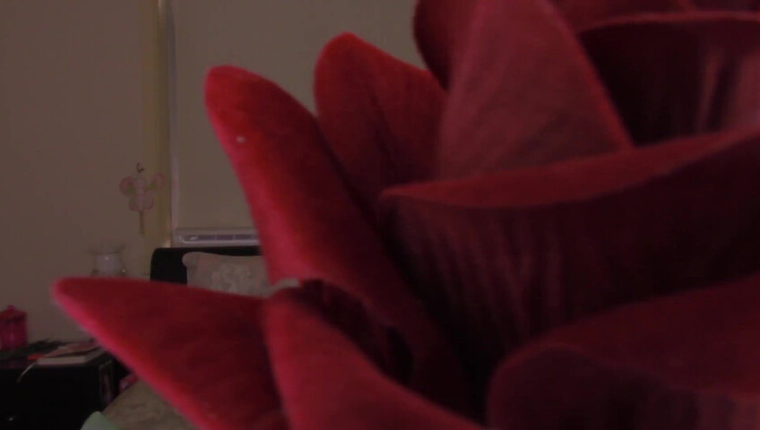 Angelique ASMR - Kitty ASMR