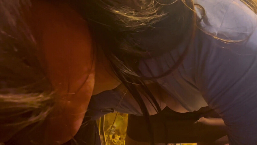 Anne ASMR - Untitled