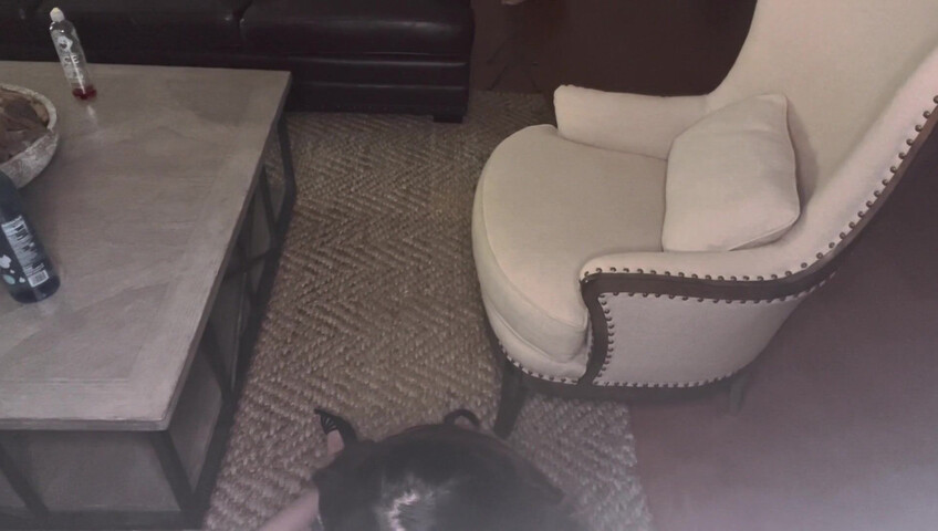 Anne ASMR - Very Naughty Seamstress Takes More than just your measurements