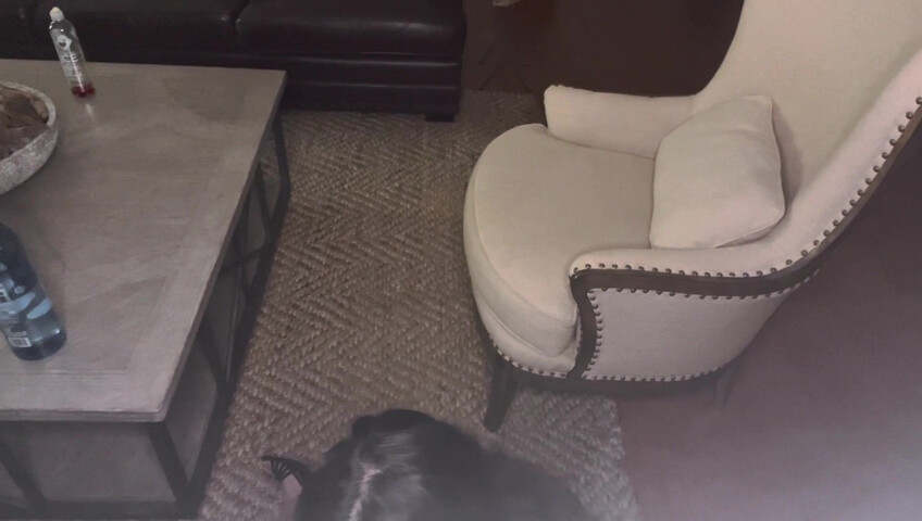 Anne ASMR - Very Naughty Seamstress Takes More than just your measurements