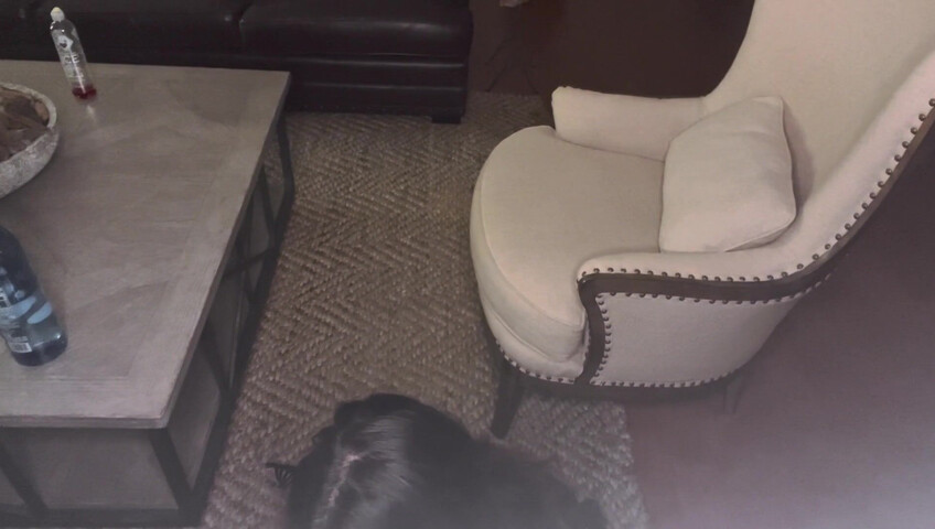 Anne ASMR - Very Naughty Seamstress Takes More than just your measurements