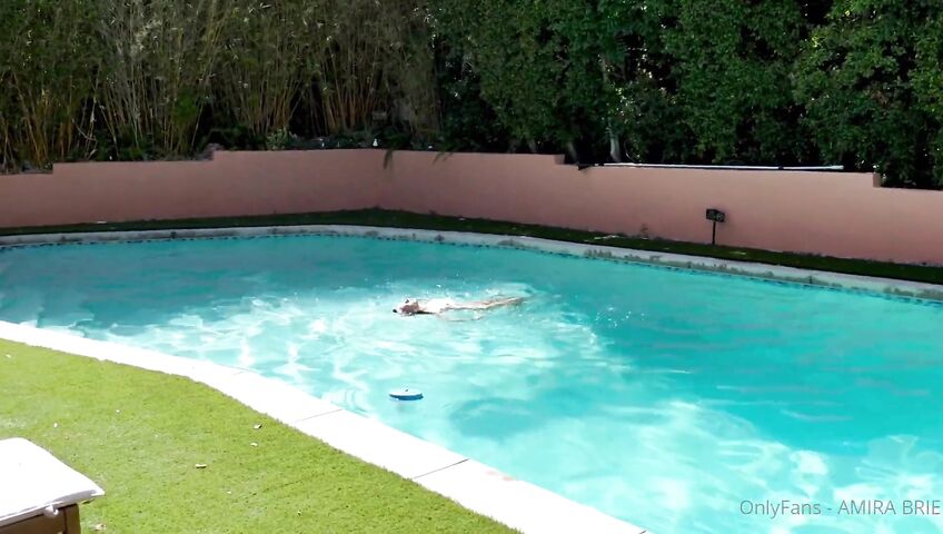 Amira Brie's Poolside Rendezvous Sex - Blowjob, Outdoor, Sex, OnlyFans, Poolside, Standing Doggystyle, Doggy Style, Shower, Soapy