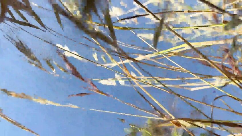 Caroline Zalog Tries On Different Lingerie During A Picnic - Seduction, Outdoor, Lingerie, Ass, Teasing, Shaved Pussy, Picnic, Nature