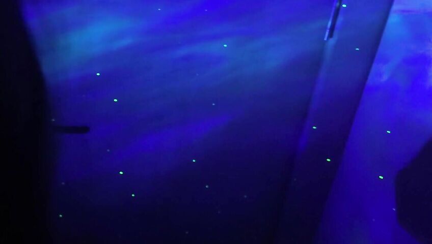 MyLillyLynn Takes A Pounding After The Party - Blowjob, Sex, Feet, Asian, Brunette, Boobs, Cowgirl, Navel Piercing, Moaning, Doggy Style, Big Ass, Reverse Cowgirl, Missionary, Handjob, Cumshot, Asian POV, POV, POV Blowjob, Oral Sex, Oral PO