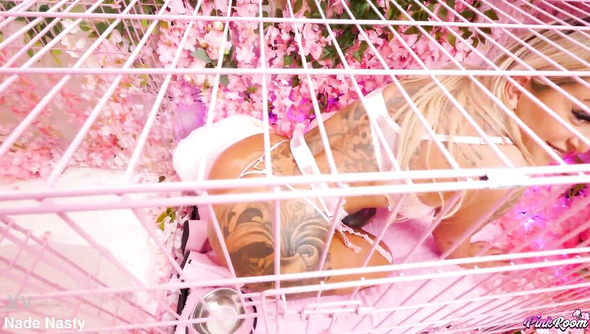 Stephanie Love Gets Drilled By Nade Nasty's BWC - Blowjob, PAWG, Sex, Fetish, Deep Throat, Deepthroat, Big Boobs, Blonde, Lingerie, Tattoos, Throatfuck, Face Fucking, Rough, Hardcore, Balls Sucking, Handjob, Rim Job, Girl Rimming Man, BWC, 