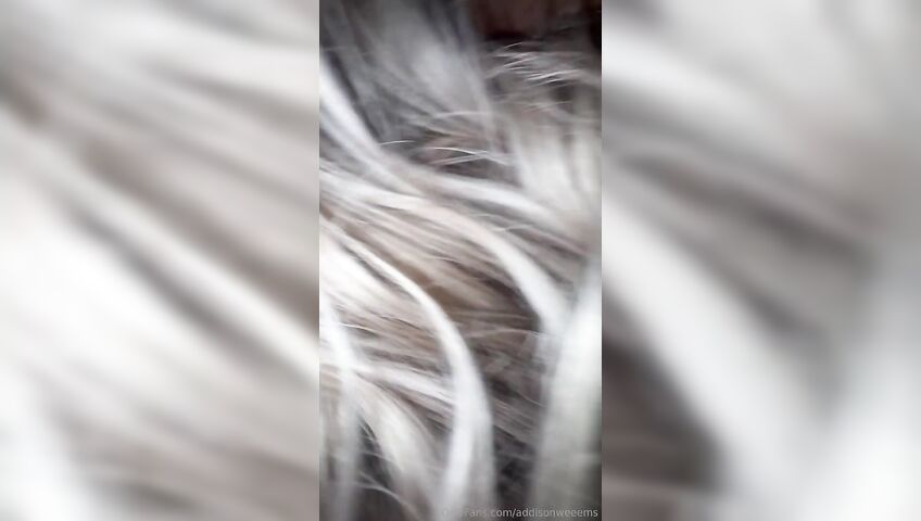 Addison Weems Nude Bg Riding Sex Onlyfans 