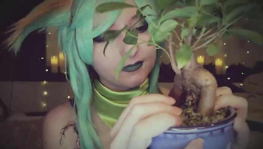 Aftynrose Asmr Patreon Elemental Friends 