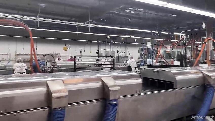 Amouranth Pocket Pussy Molding Ed Ef