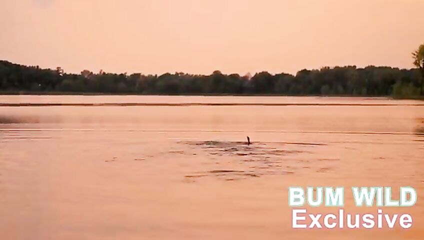 Bumwild Patreon Lingerie Exclusive