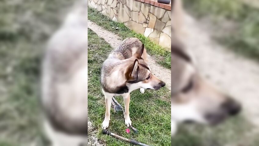 Callmeslooo Hot Date Sex Tape Onlyfans