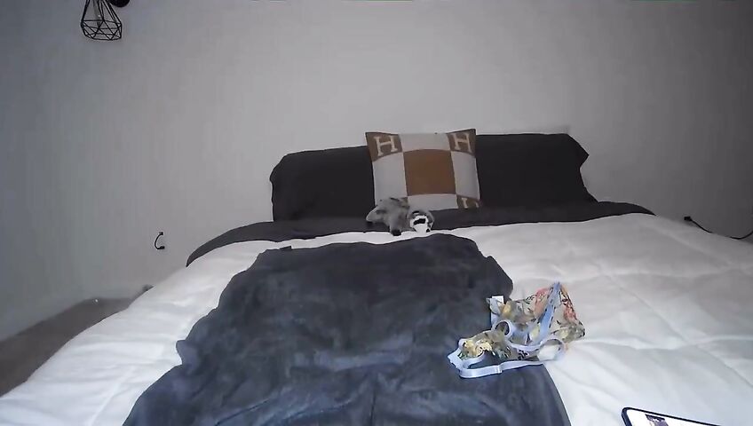 Emily Rinaudo Buttplug Dildo Fuck Onlyfans Livestream Leaked Fgijkl