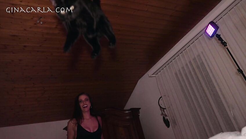 Gina Carla Onlyfans Nude Teasess 1