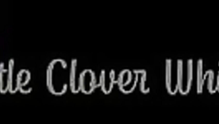 Little Clover Whispers Sexy Nurse ASMRss