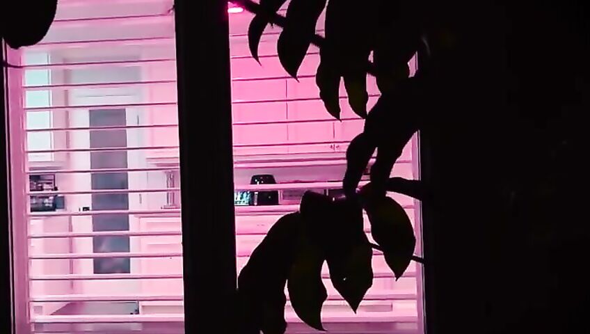 Madison Ivy Scream Ghostface Sextapess