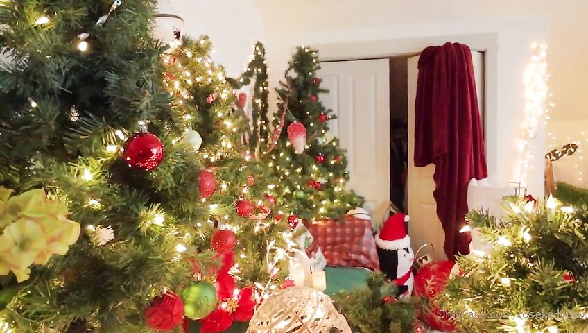 Rose Kelly Christmas Lingerie Ass Spreads