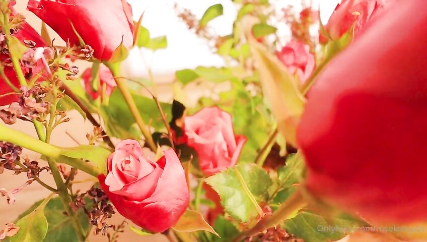 Rose Kelly Pussy Eating Close Up PPV