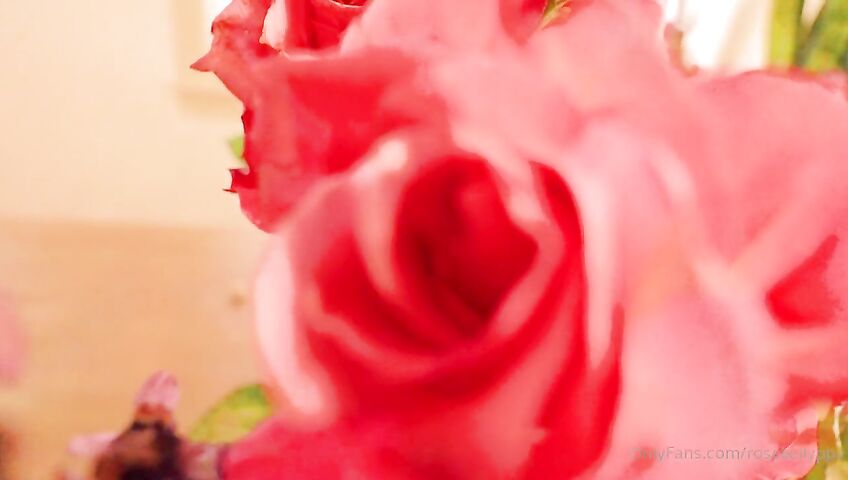 Rose Kelly Pussy Eating Close Up PPV