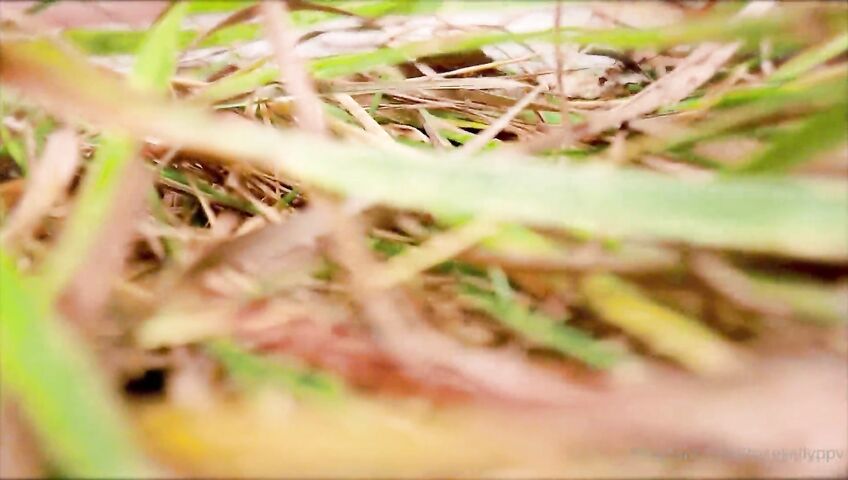 Rose Kelly Witchway To Romance PPV