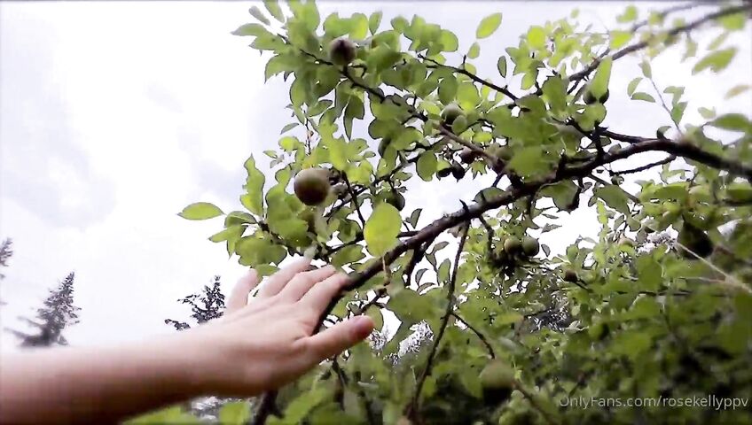 Rose Kelly Witchway To Romance PPV