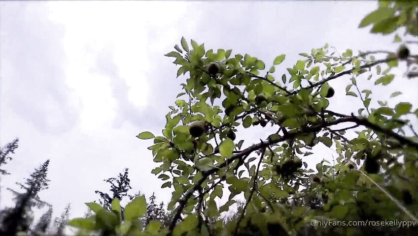 Rose Kelly Witchway To Romance PPV