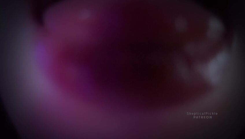 SkepticalPickle ASMR - 30 March 2026 - Good Boy⧸Girl Encouragement & Praise, Layered Sensual Whisper and Countdown (Platinum)