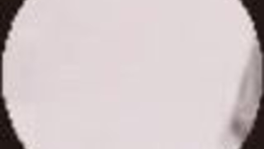 Caligula - You Hired Your Mother