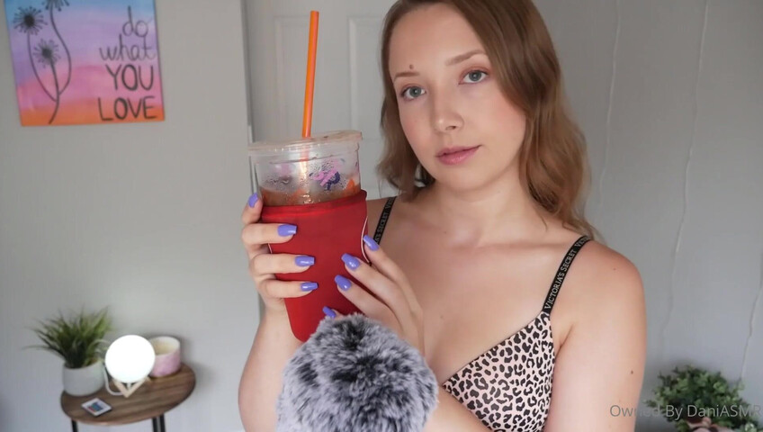 Dani ASMR - VS Lingerie Triggers