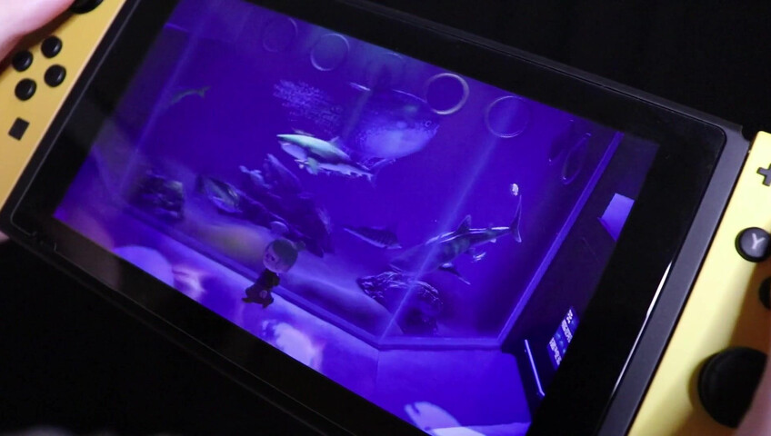 Diddly ASMR - 25 May 2021 - Patreon exclusive ASMR- Showing you my Animal Crossing Island