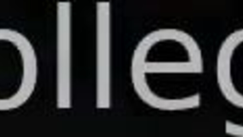 arkcollegegirl - making a bet