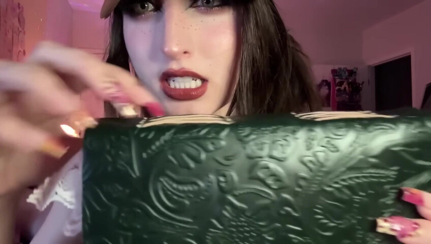 beebee asmr - Fast Lofi ASMR