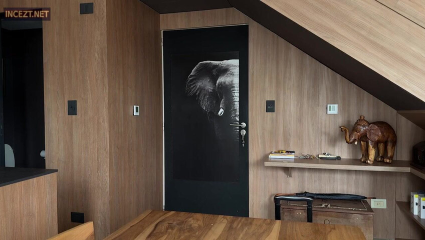 NicoleBelle - The Airbnb Part 1: A Taboo Movie