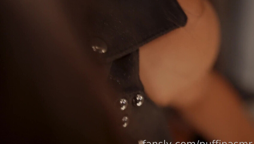 Puffin ASMR - 27 April 2025 - The Two Thieves Part 1