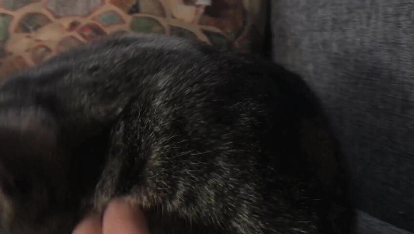 Rhonda ASMR - Furr Blanket