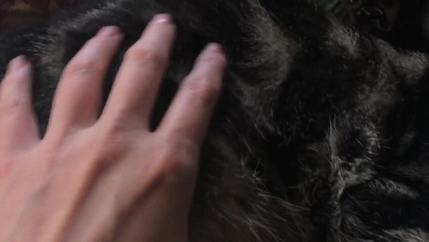 Rhonda ASMR - Furr Blanket