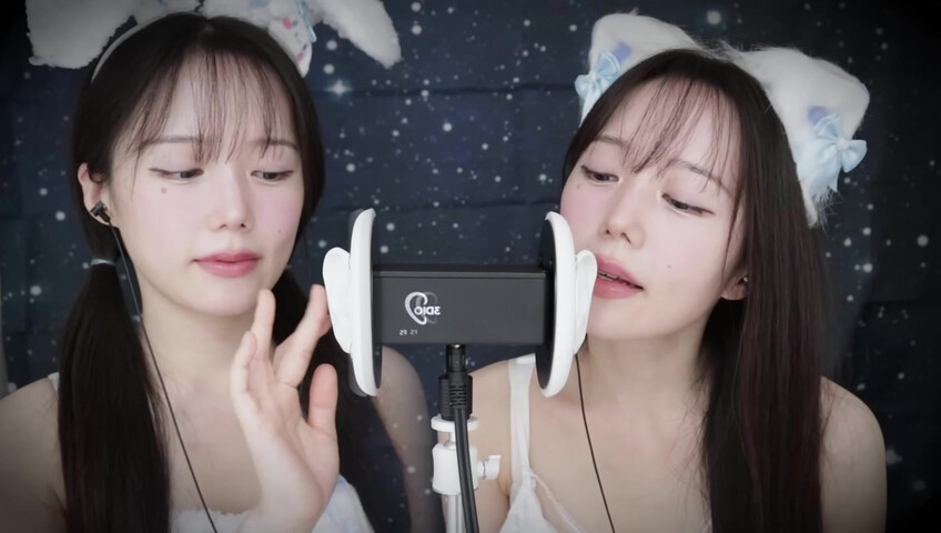 Jamonghae ASMR - 12 April 2026 - ASMR 토끼&고양이 쌍둥이의 수면 치료