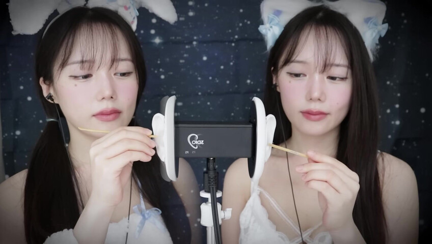 Jamonghae ASMR - 12 April 2026 - ASMR 토끼&고양이 쌍둥이의 수면 치료