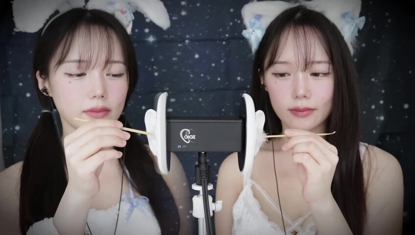 Jamonghae ASMR - 12 April 2026 - ASMR 토끼&고양이 쌍둥이의 수면 치료