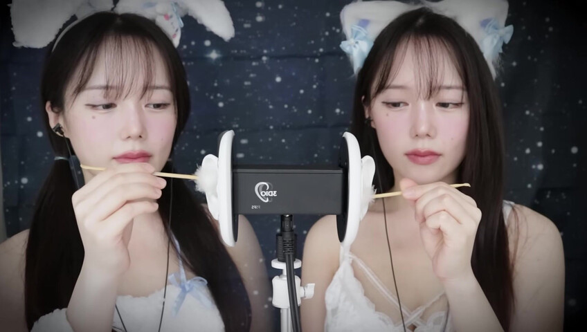 Jamonghae ASMR - 12 April 2026 - ASMR 토끼&고양이 쌍둥이의 수면 치료