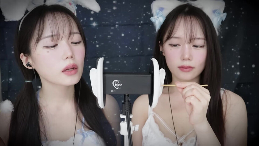 Jamonghae ASMR - 12 April 2026 - ASMR 토끼&고양이 쌍둥이의 수면 치료