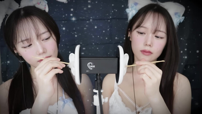 Jamonghae ASMR - 12 April 2026 - ASMR 토끼&고양이 쌍둥이의 수면 치료