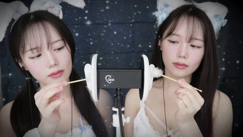 Jamonghae ASMR - 12 April 2026 - ASMR 토끼&고양이 쌍둥이의 수면 치료