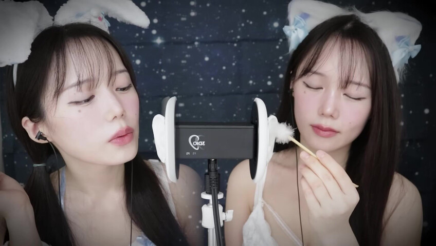 Jamonghae ASMR - 12 April 2026 - ASMR 토끼&고양이 쌍둥이의 수면 치료